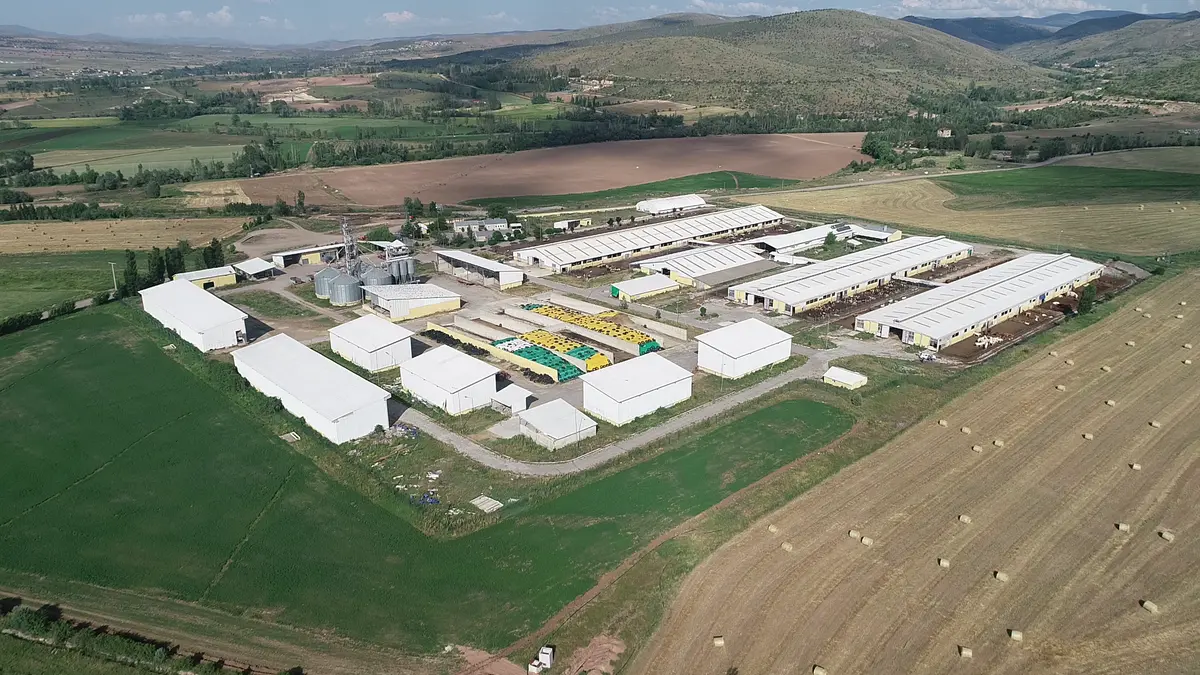 Doğan Holding Büyükbaş Besi Çiftliği
